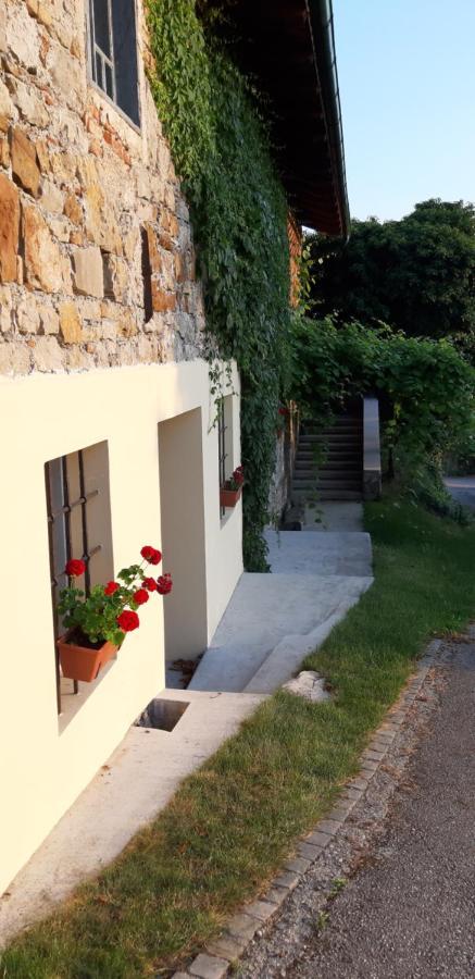 Villa Katarina Branik Extérieur photo